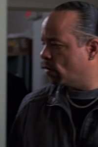 Law & Order: Special Victims Unit – S07E05 – Strain