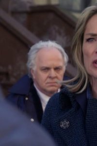 Law & Order: Special Victims Unit – S11E21 – Torch