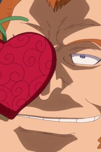One Piece – S2014E78 – Toki Sameru! Op-Op no Mi o Ubae!