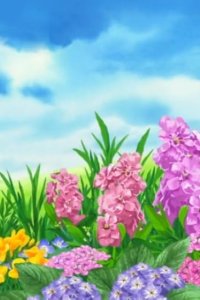 One Piece – S2014E87 – Baribari: Homage Shinken Hatsudou!
