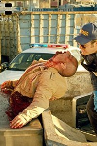 CSI: Crime Scene Investigation – S15E15 – Hero to Zero
