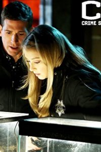 CSI: Crime Scene Investigation – S15E17 – Under My Skin