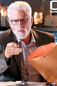 CSI: Crime Scene Investigation – S15E18 – The End Game