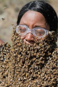 Fear Factor – S07E06 – The Bees Are Angry