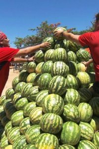 The Amazing Race – S20E03 – Bust Me Right in the Head with It