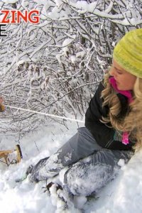 The Amazing Race – S22E08 – My Cheese Is Out of Control