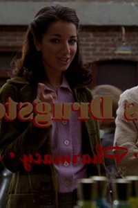 American Dreams – S01E20 – The Carpetbaggers