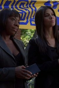 Without a Trace – S07E04 – True/False