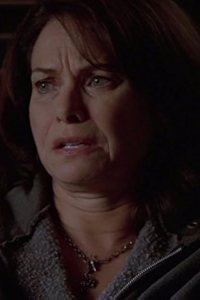 Without a Trace – S07E05 – Rise and Fall