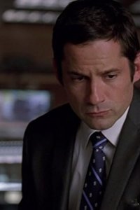 Without a Trace – S07E14 – Friends and Neighbors