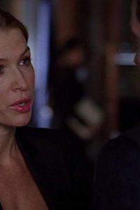 Without a Trace – S07E20 – Hard Landing