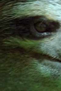 The Life of Mammals – S2002E03 – Plant Predators