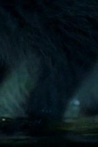 The Life of Mammals – S2003E06 – The Opportunists