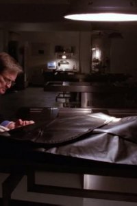 NCIS: Naval Criminal Investigative Service – S04E18 – Iceman