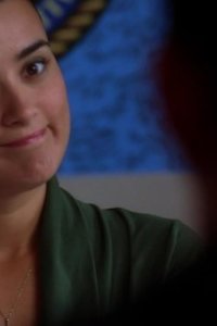 NCIS – S06E14 – Love & War