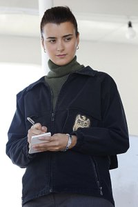 NCIS – S08E11 – Ships in the Night