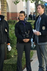 NCIS – S08E16 – Kill Screen