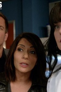 NCIS – S12E12 – The Enemy Within