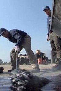 Dirty Jobs – S01E07 – Hot Tar Roofer