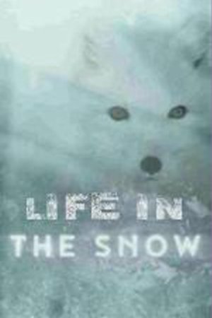 Life in the Snow