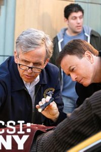 CSI: NY – S09E13 – Nine Thirteen
