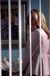 House M.D. – S01E20 – Love Hurts