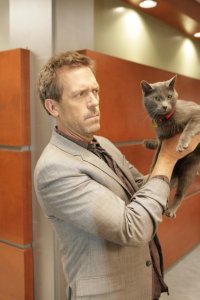 House – S05E18 – Here Kitty