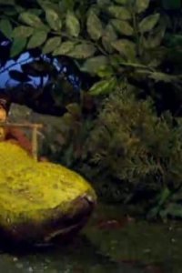 Robot Chicken – S01E20 – That Hurts Me