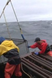 Deadliest Catch – S01E03 – Lady Luck