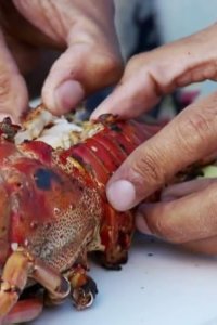 Anthony Bourdain: No Reservations – S09E09 – Dominican Republic