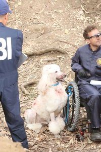 Bones – S12E02 – The Brain in the Bot