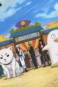 Gintama – S01E15 – Pets Resemble Their Owners