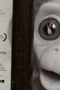 Monkey Love Experiments