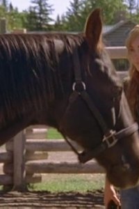 Heartland – S01E06 – One Trick Pony