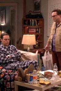 The Big Bang Theory – S12E09 – The Citation Negation