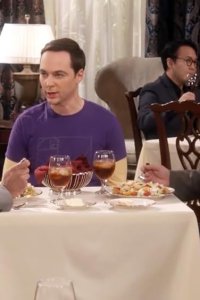 The Big Bang Theory – S12E13 – The Confirmation Polarization