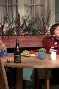The Big Bang Theory – S12E14 – The Meteorite Manifestation