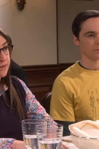The Big Bang Theory – S12E21 – The Plagiarism Schism