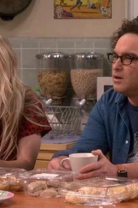 The Big Bang Theory – S12E22 – The Maternal Conclusion