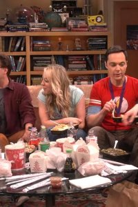 The Big Bang Theory – S12E24 – The Stockholm Syndrome