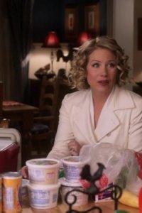 Samantha Who? – S02E17 – The Dream Job