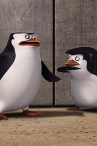 The Penguins of Madagascar – S03E15 – P.E.L.T./Private and the Winky Factory
