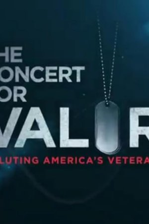 The Concert for Valor