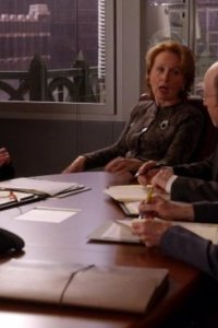 The Good Wife – S01E10 – Lifeguard