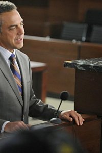 The Good Wife – S01E14 – Hi