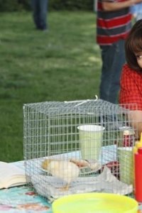 The Middle – S01E21 – Worry Duty