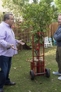 Modern Family – S10E09 – Putting Down Roots
