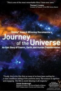 Journey of the Universe