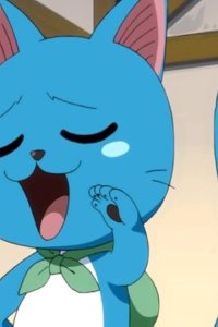 Fairy Tail – S01E02 – Fire Dragon, Monkey, and Bull