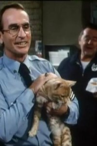 Hill Street Blues – S07E13 – City of Refuse